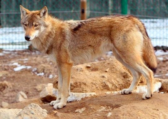 5b7096d9a9e3ecec611ff17f32a792a8_1789524092_0134.jpg