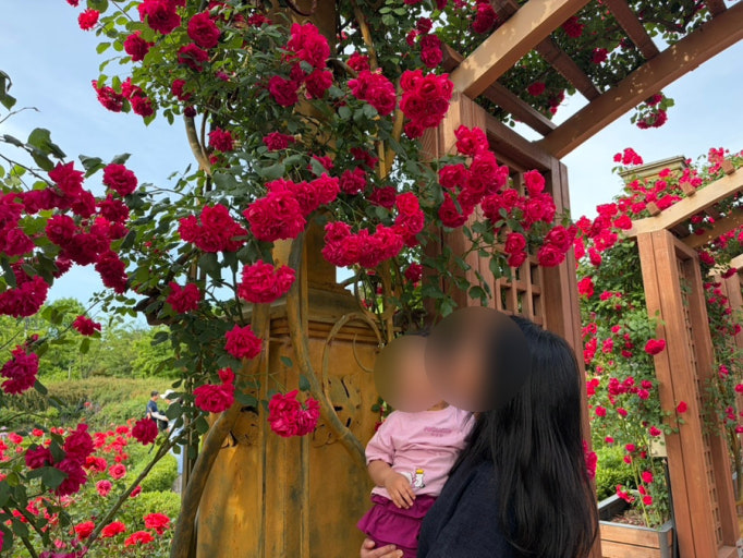5d19987329eb89b28431b09f6512030b_1789435209_8753.jpg 5d19987329eb89b28431b09f6512030b_1789435209_8753.jpg